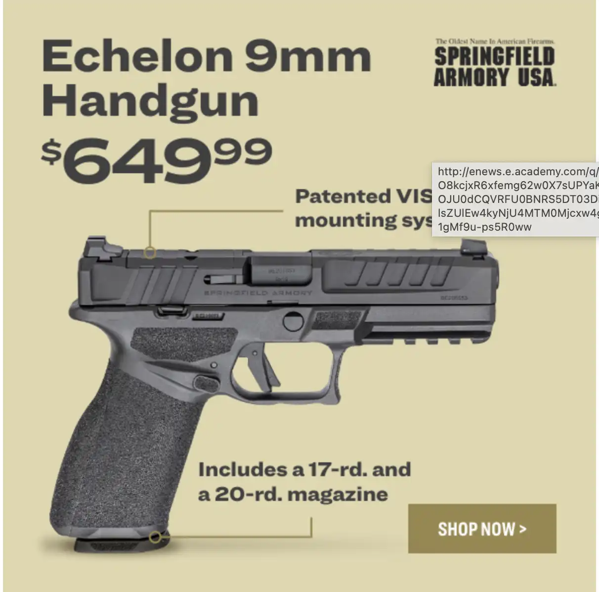 Springfield Armory Echelon 9mm 20rd Pistol | Academy