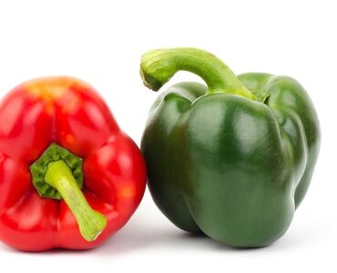 Bell peppers are an excellent dehydrated food item to keep in your pantry and your emergency food storage. Because they are pre-washed and diced, you can easily add this flavor-packed vegetable to soups, casseroles, scrambled eggs, breakfast potatoes and so much more. Unopened shelf life up to 25 years, recipes on can label.